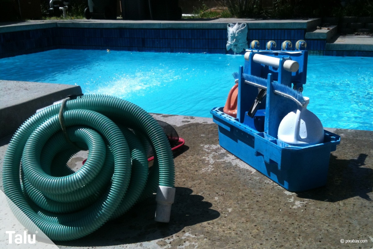 Pool-Sauger