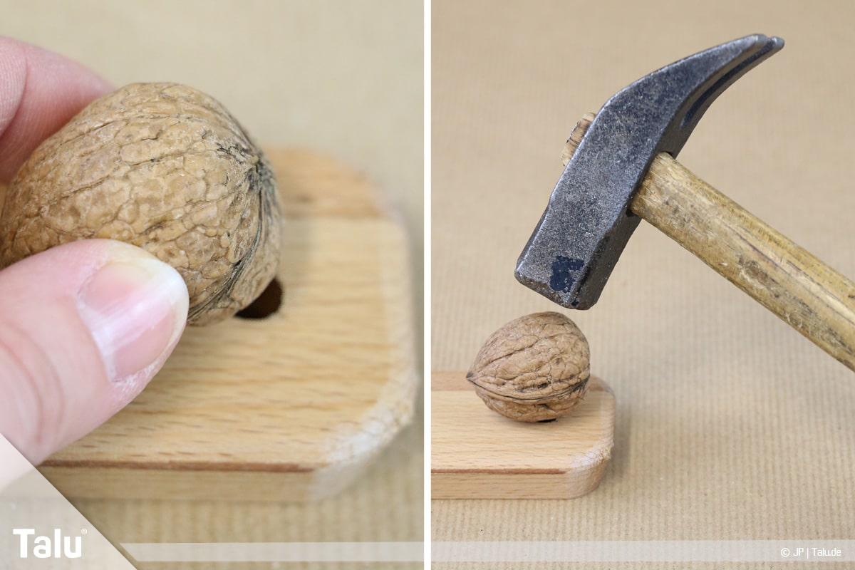 Walnüsse knacken in zwei Hälften, Walnuss mit Hammer öffnen