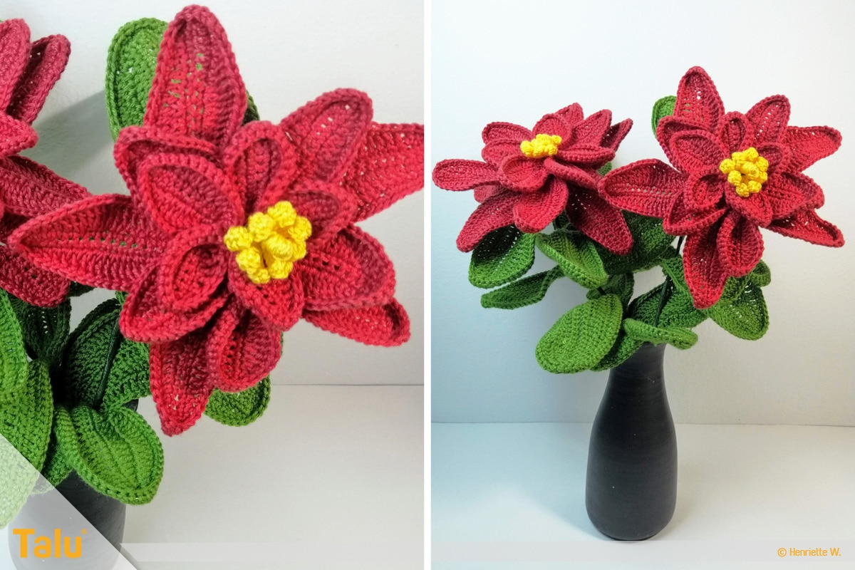 Weihnachtsstern häkeln, Weihnachtssterne in der Vase