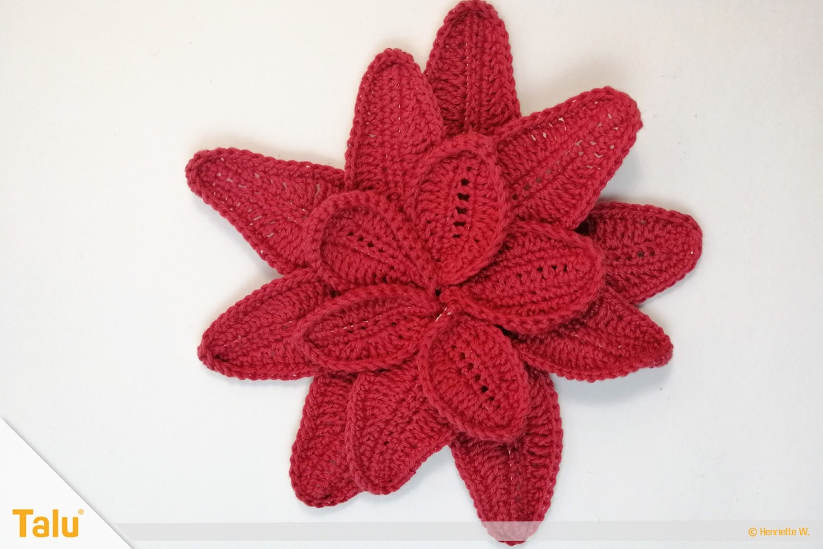 Weihnachtsstern häkeln, zu Blüte zusammengenähte rote Blätter