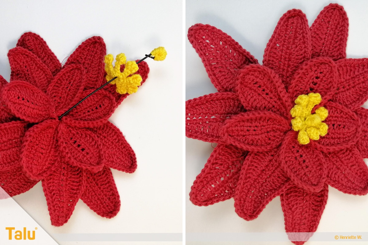 Weihnachtsstern häkeln, Steckdraht und gelbe Blüten mittig in roter Blüte platzieren