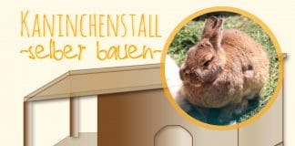 Kaninchenstall selber bauen, Hasenstall selber bauen – Anleitung