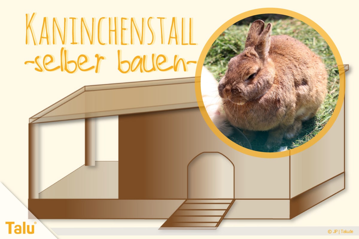 Kaninchenstall selber bauen, Hasenstall selber bauen – Anleitung