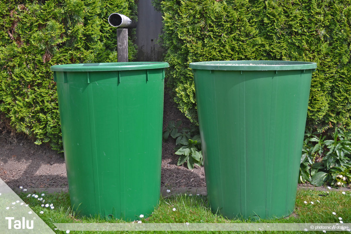 Regenwasser für Toilette und Waschmaschine benutzen, Regentonnen im Garten aufstellen