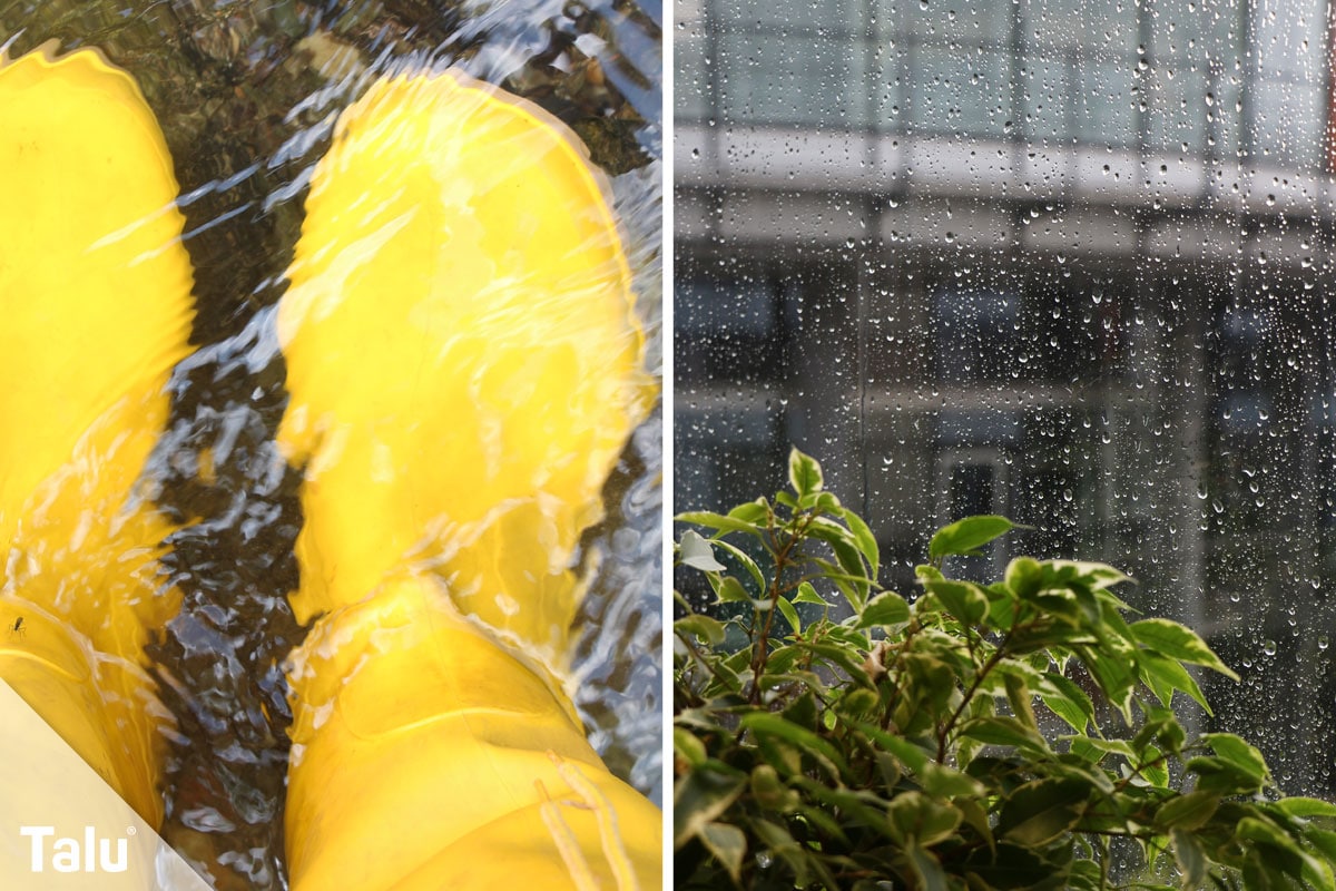 Regenwasser für Toilette und Waschmaschine benutzen, Regenwasser als Brauchwasser