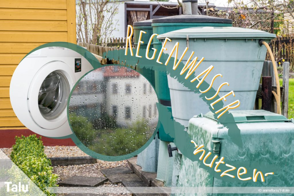 Regenwasser für Toilette und Waschmaschine benutzen, Tipps