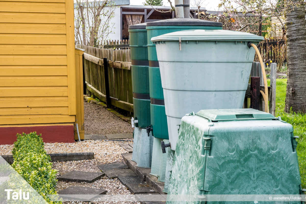 Regenwasser für Toilette und Waschmaschine benutzen, Regentonnen im Garten