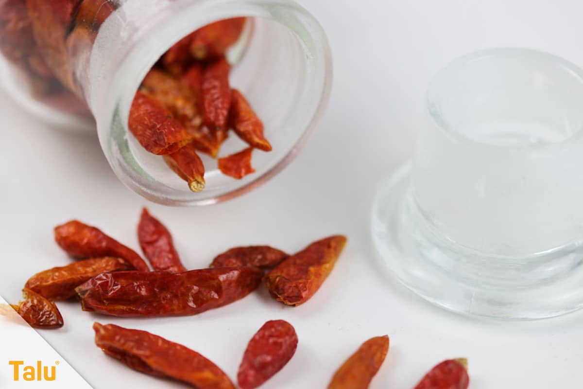 Ameisen im Hochbeet loswerden, Chili-Schoten