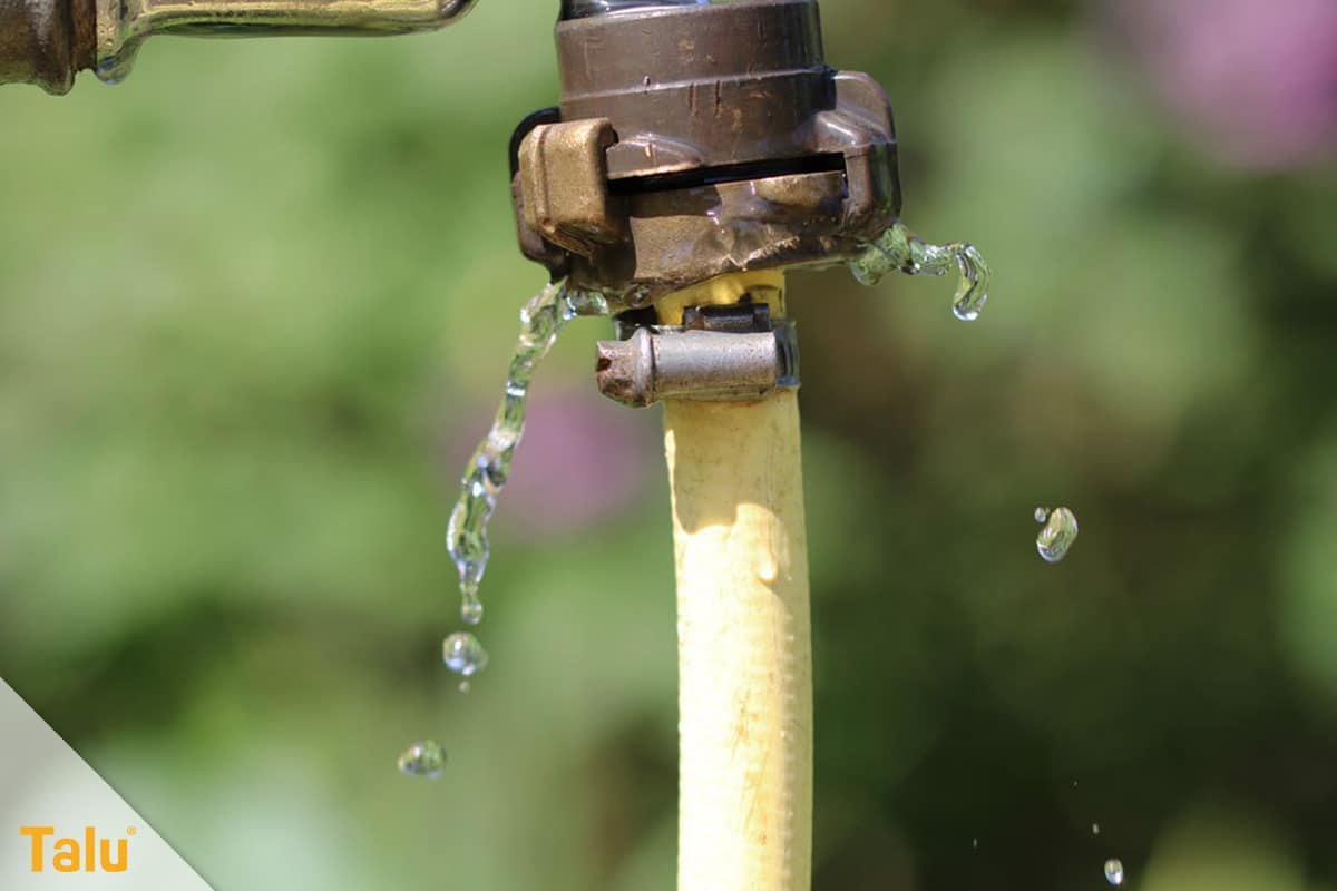 Ameisen im Hochbeet loswerden, Wassermethode anwenden