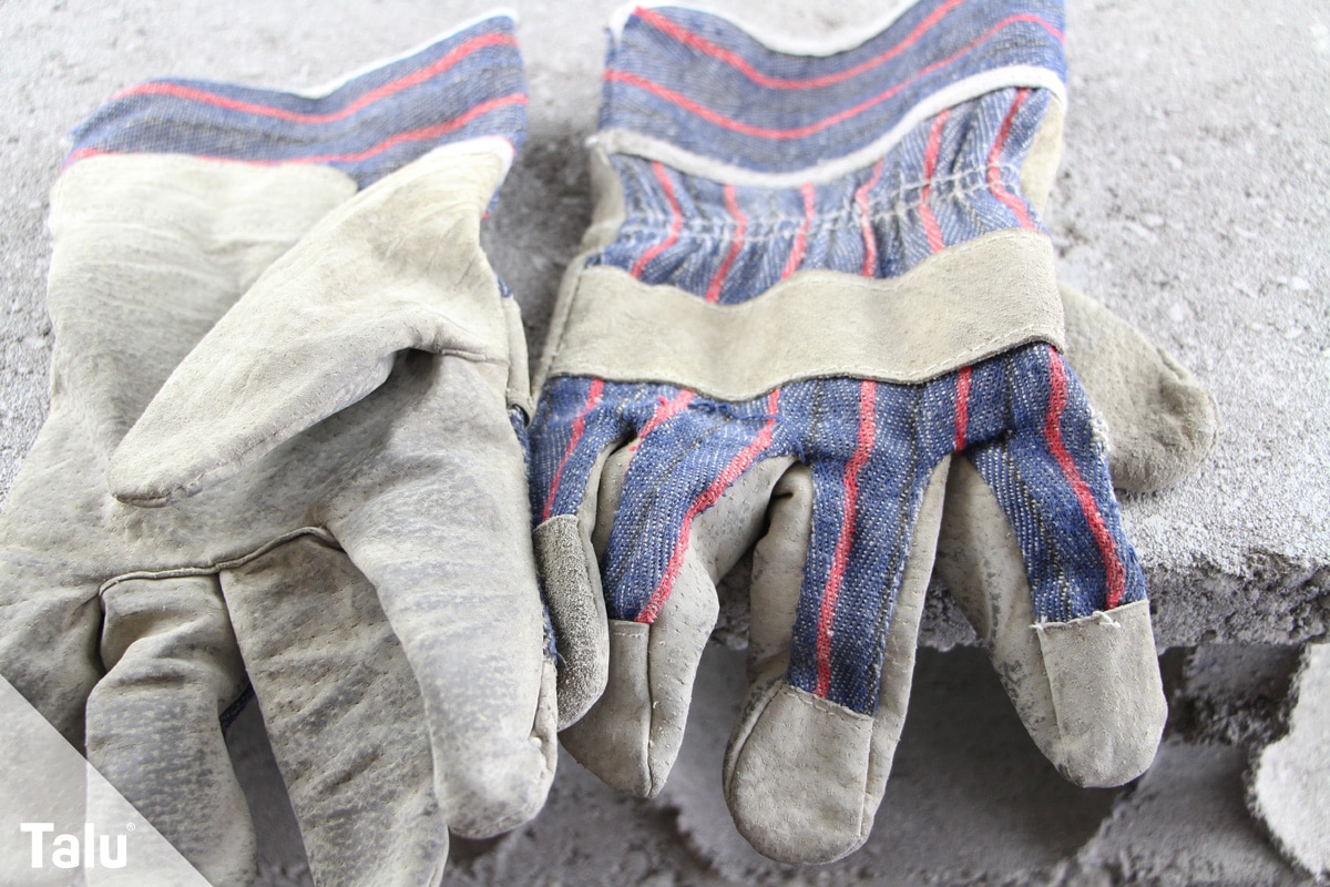 Oleander umtopfen, Zeitpunkt, Handschuhe verwenden