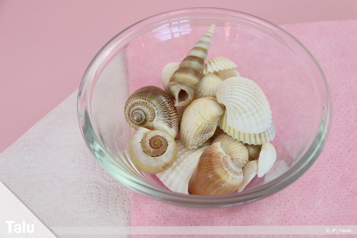 Basteln mit Steinen und Muscheln, Ideen, Gesichter basteln, Muscheln reinigen