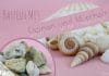 Basteln mit Steinen und Muscheln, Ideen für Kinder
