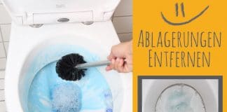 Ablagerungen in der Toilette entfernen, so wird Ihr Klo sauber