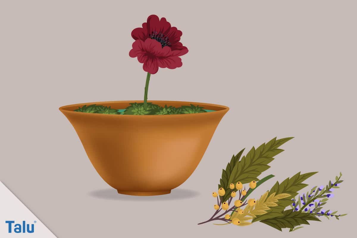 Herbstgestecke selber machen, Ideen, Umsetzung eines Gestecks