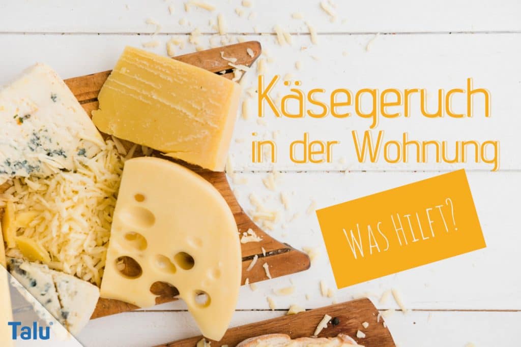 Käsegeruch in der Wohnung, so befreien Sie Küche und Kühlschrank