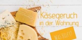 Käsegeruch in der Wohnung, so befreien Sie Küche und Kühlschrank