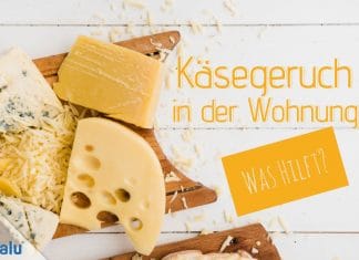Käsegeruch in der Wohnung, so befreien Sie Küche und Kühlschrank