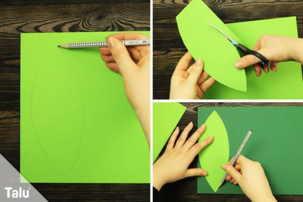 Palme basteln aus Papier - Bastelanleitung mit Bildern - Talu.de