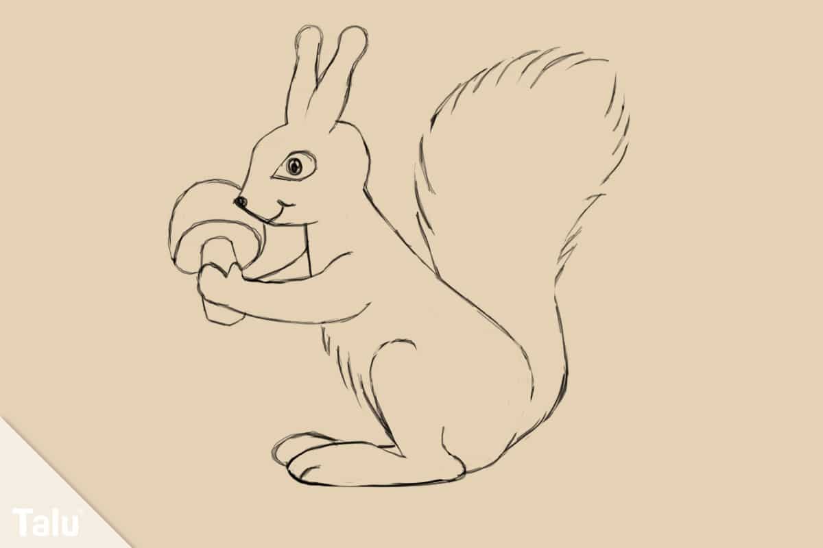 Eichhörnchen zeichnen
