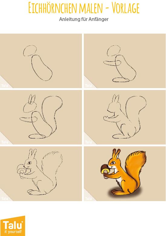 Vorlage für Eichhörnchen