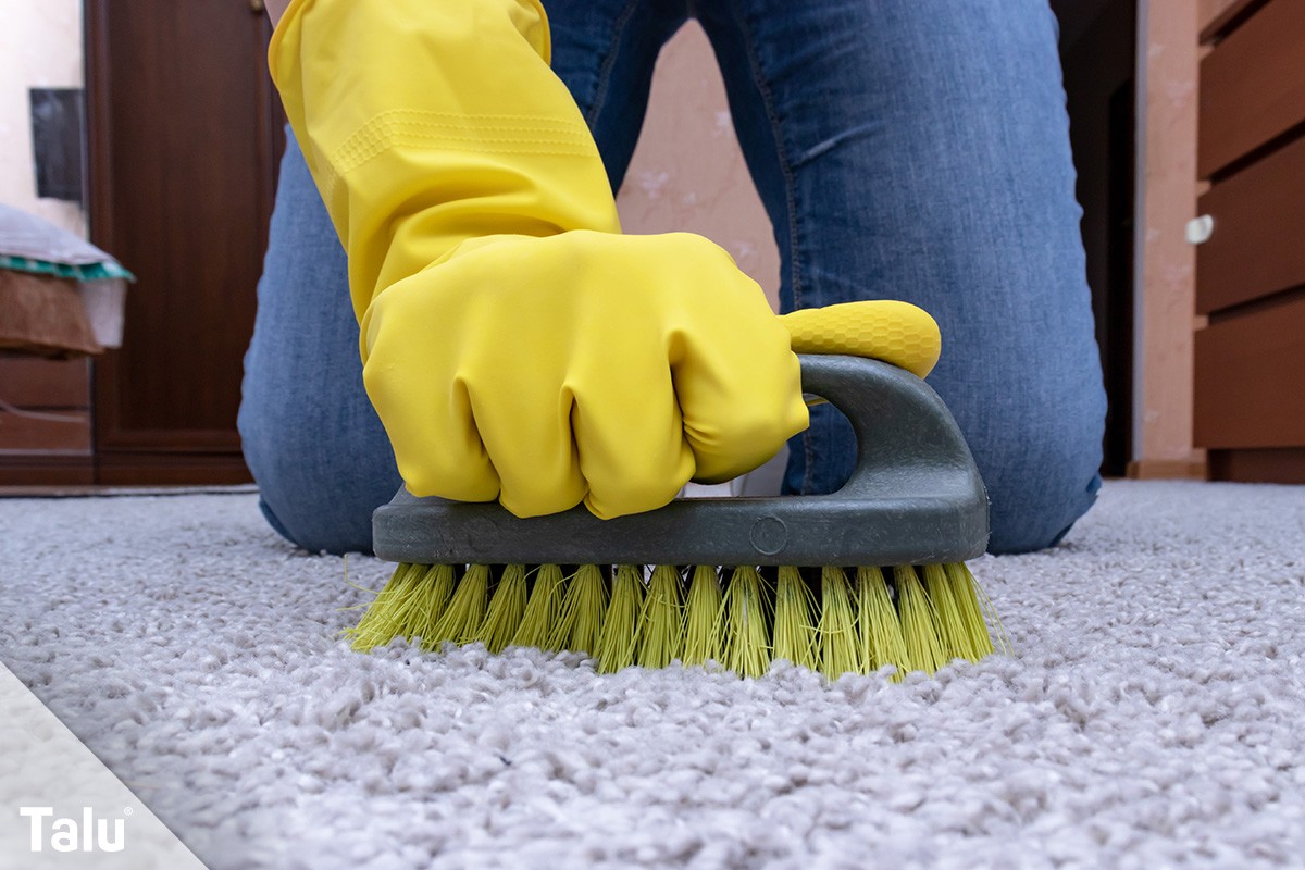 Teppich mit Bürste reinigen