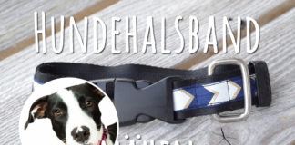 Hundehalsband nähen