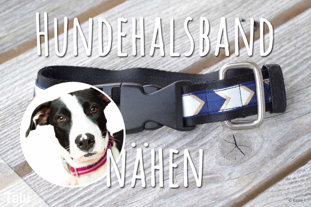 Hundehalsband nähen