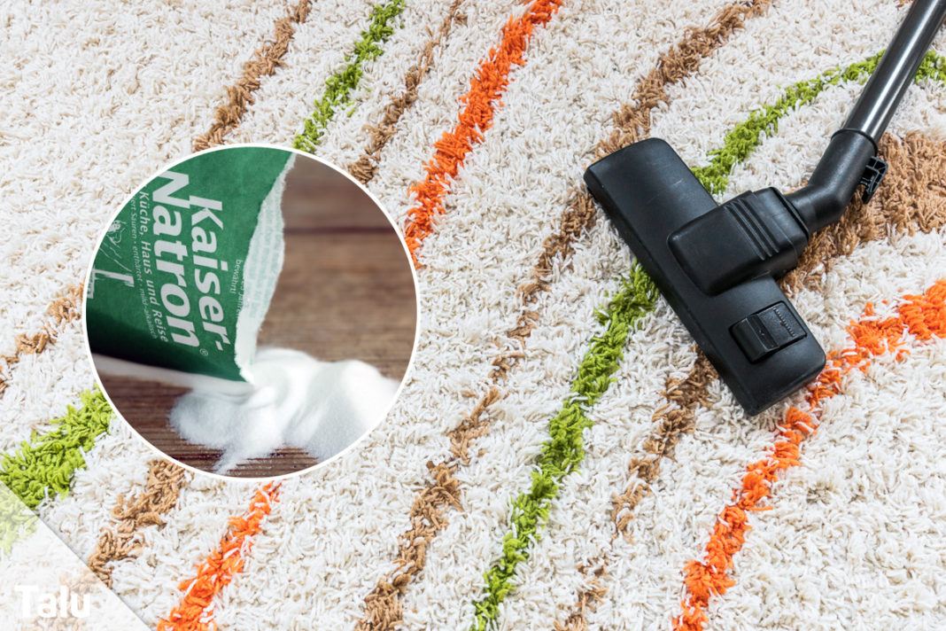 Teppich riecht muffig nach Hund was tun, wenn er stinkt? Talu.de