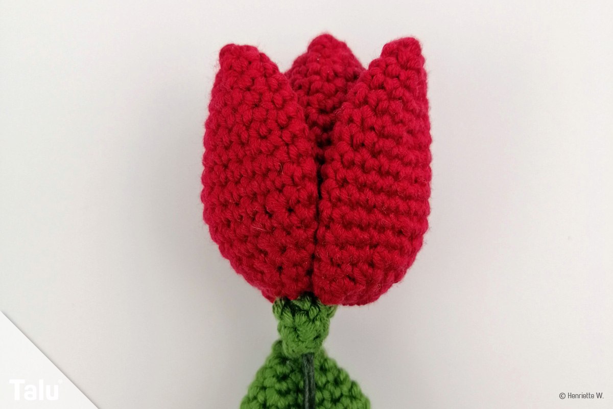 Tulpen häkeln