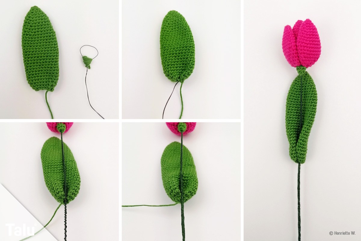 DIY Tulpe