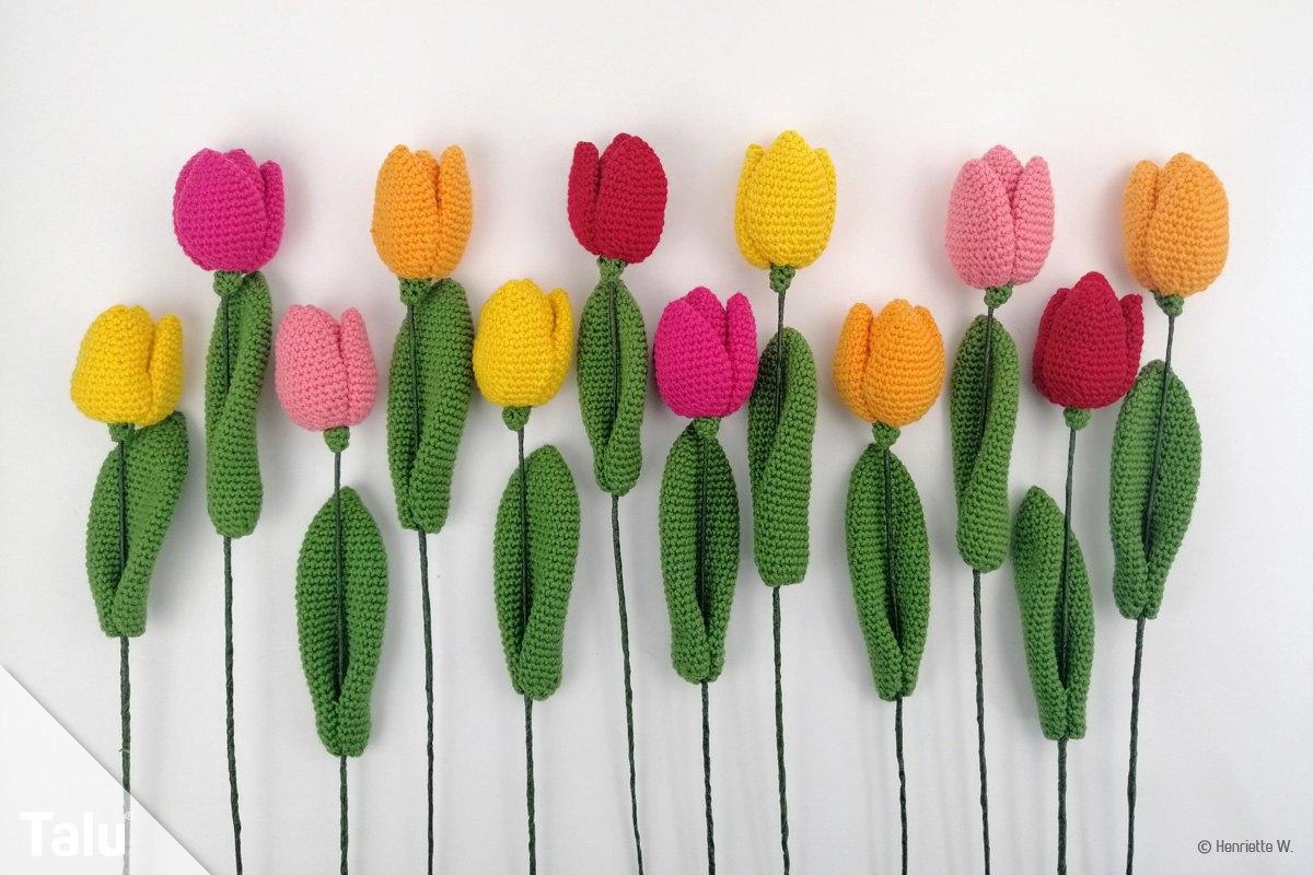 Häkel-Tulpen