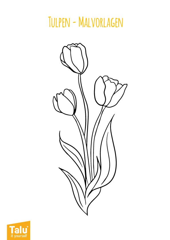 tulpen malvorlage ausmalbild zum ausdrucken  talude
