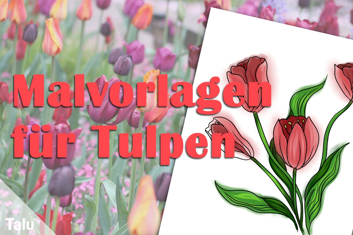 Malvorlagen für Tulpen