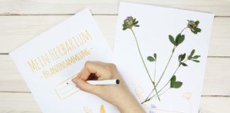Herbarium anlegen