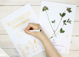 Herbarium Anlegen Anleitung Kostenlose Vorlage Furs Deckblatt Talu De