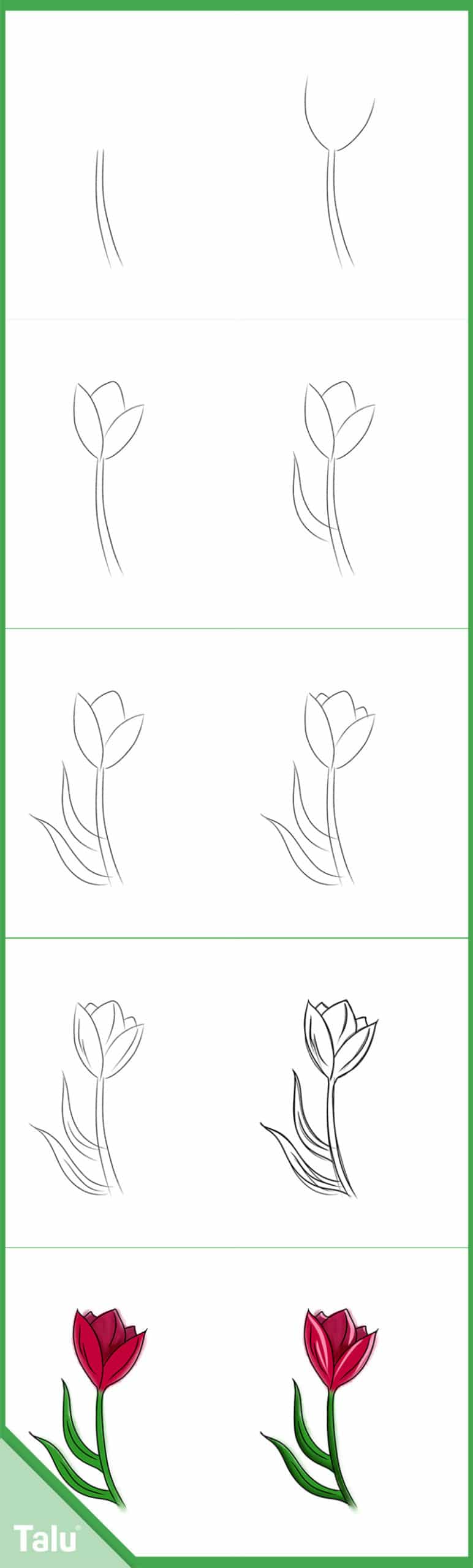 Blumenzeichnung Mit Bleistift Schritt F r Schritt