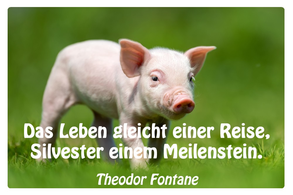 Neujahrsgrüße