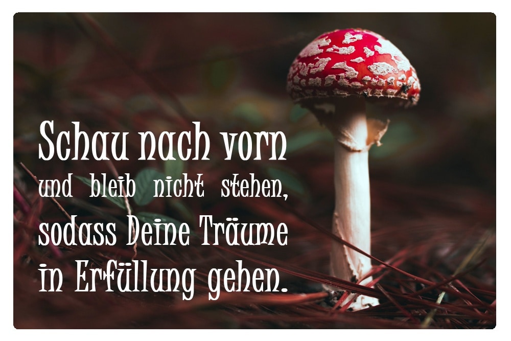 Neujahrsgrüße