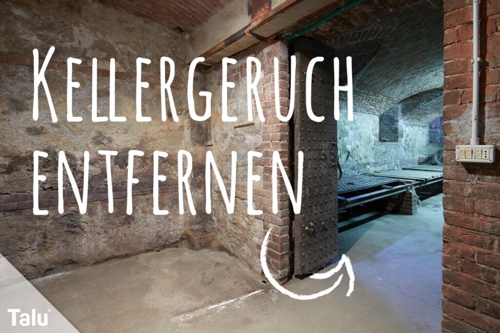 Kellergeruch entfernen