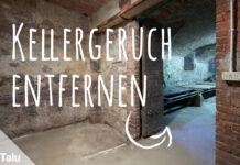 Kellergeruch entfernen