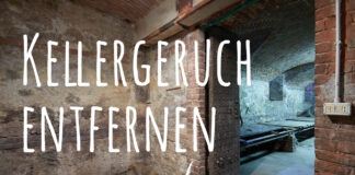 Kellergeruch entfernen