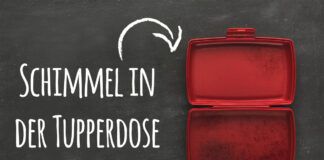 Schimmel in der Tupperdose
