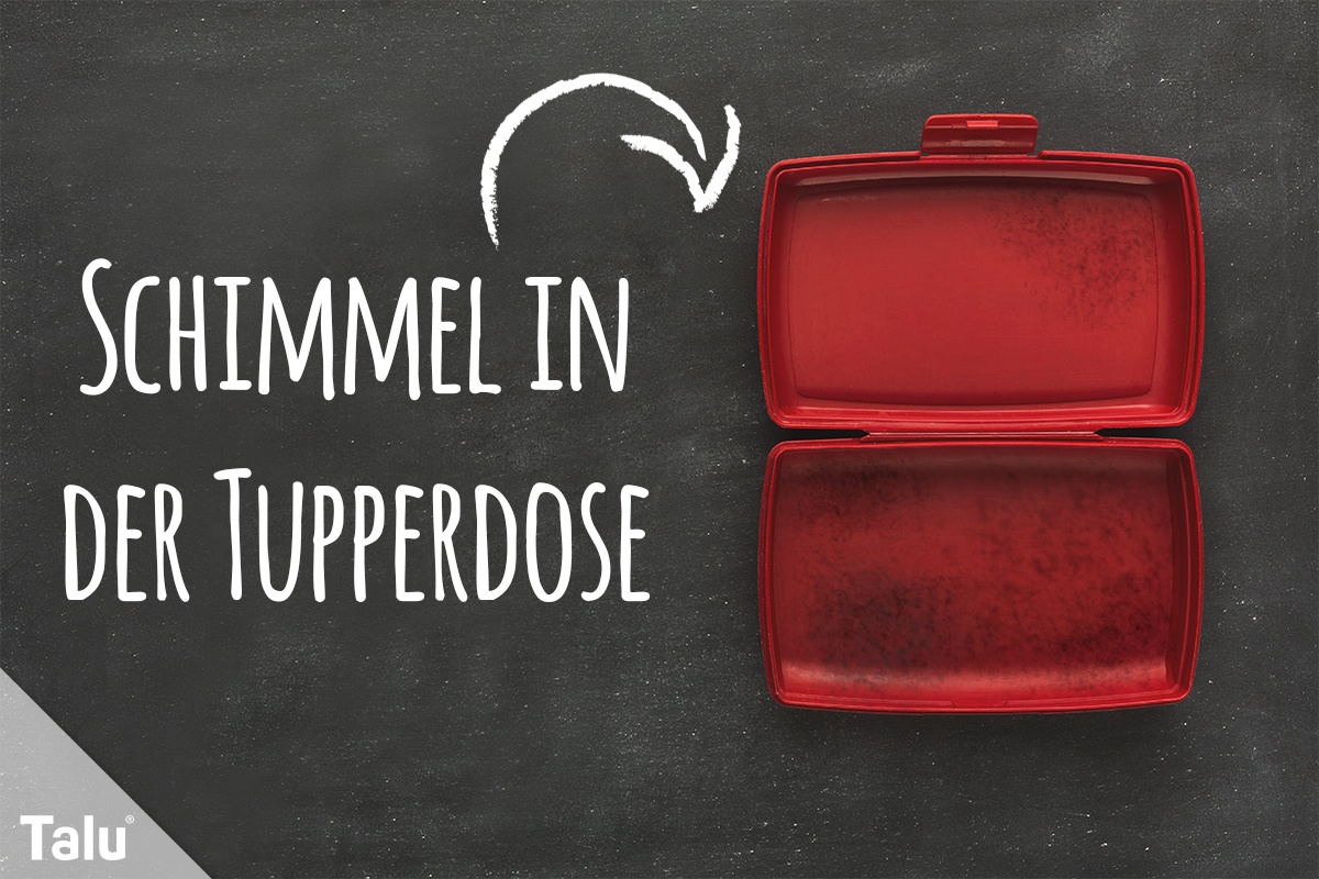 Schimmel in der Tupperdose