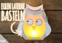 Eulen Laterne basteln