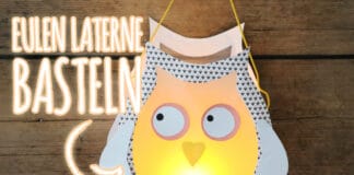Eulen Laterne basteln