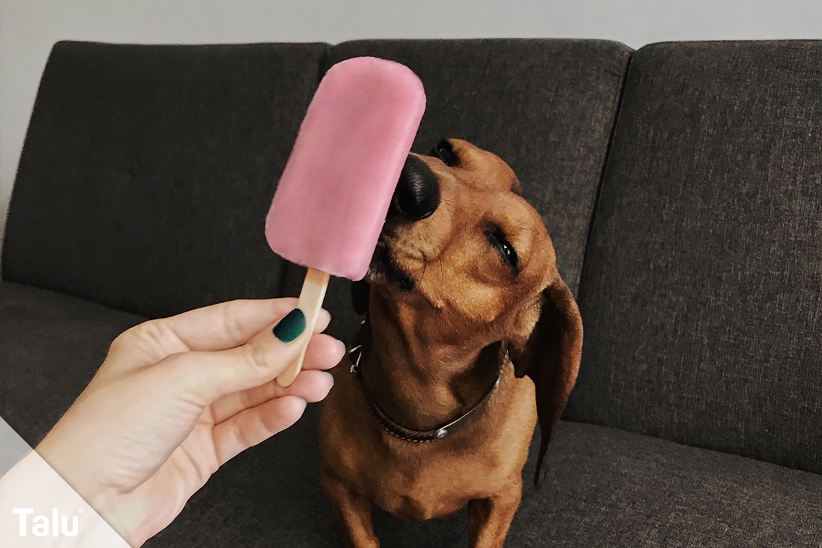 Pupsicle