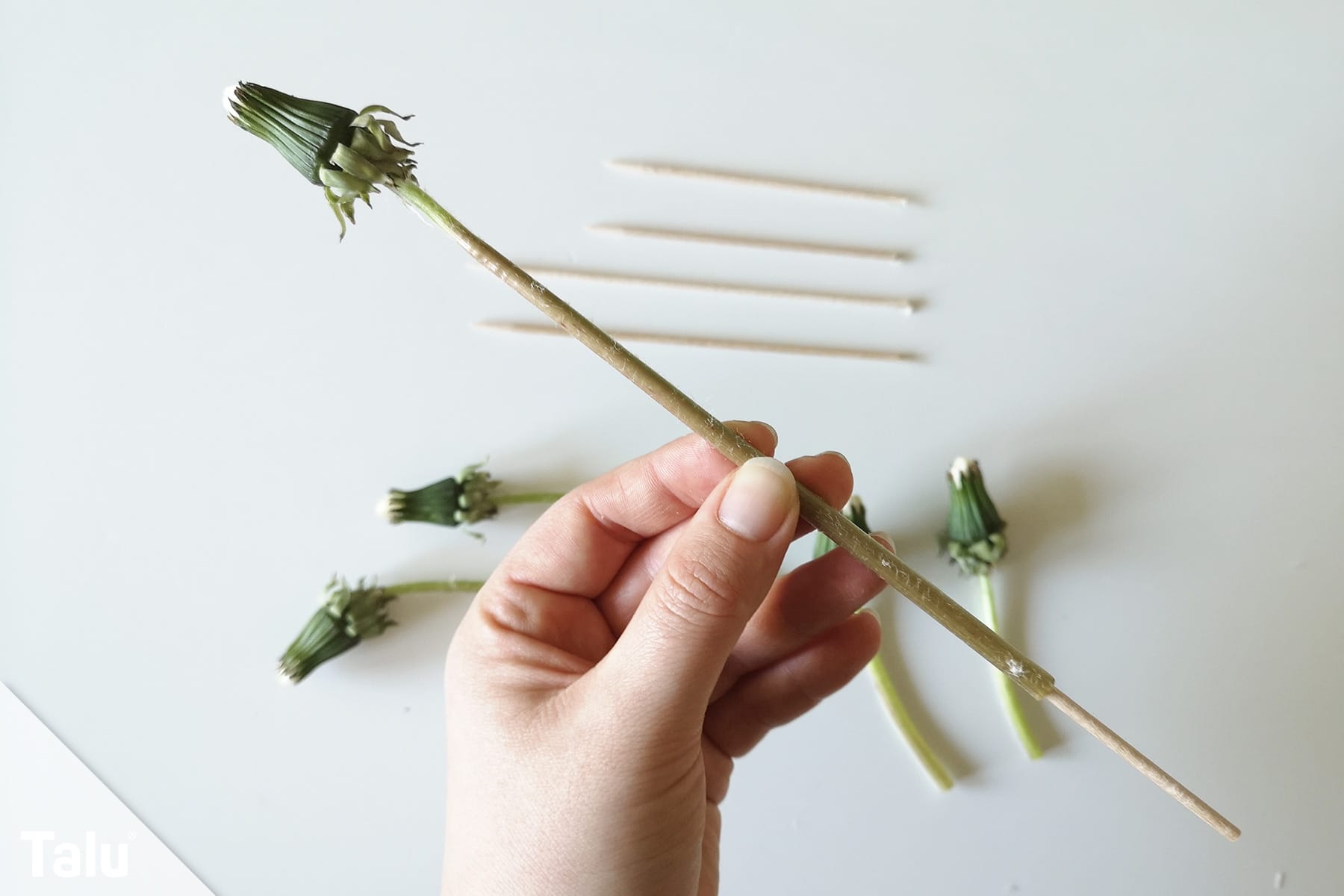 DIY Pusteblume