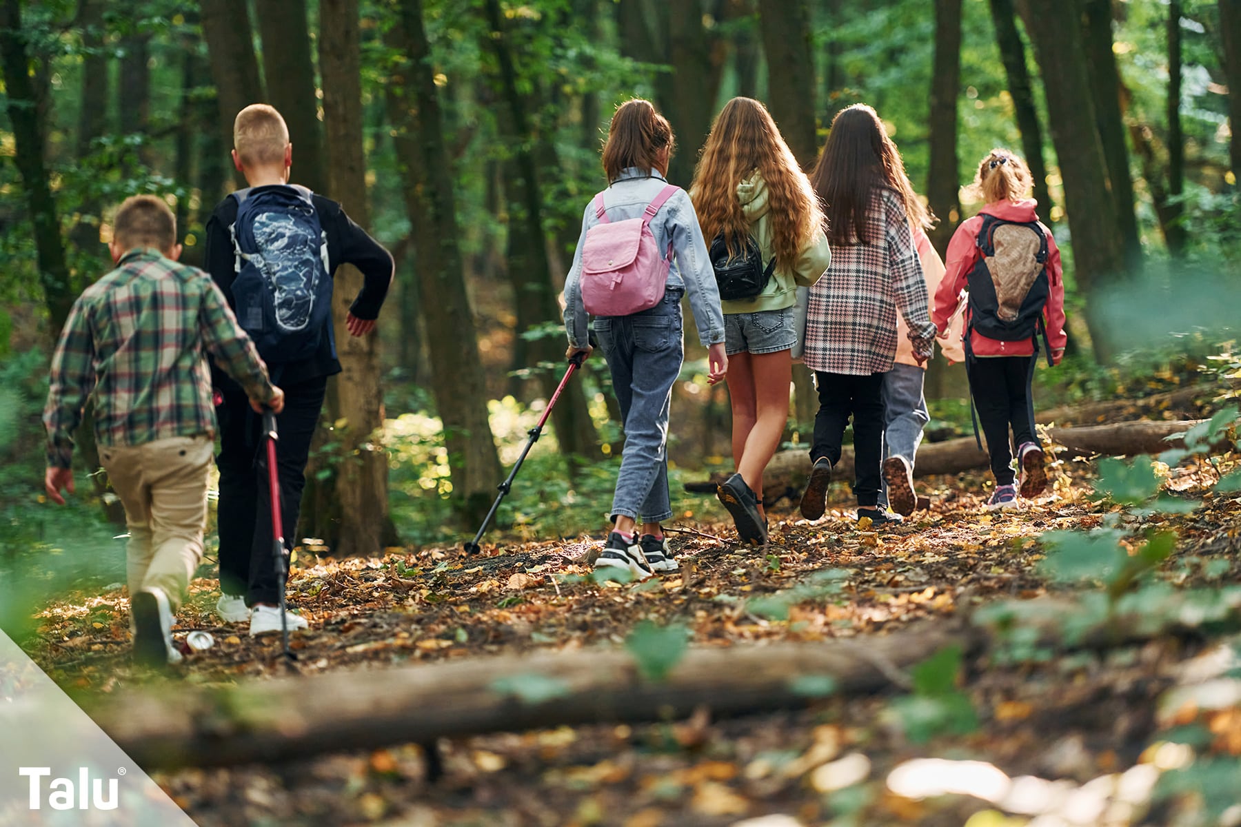 Nachtwanderung mit Kindern