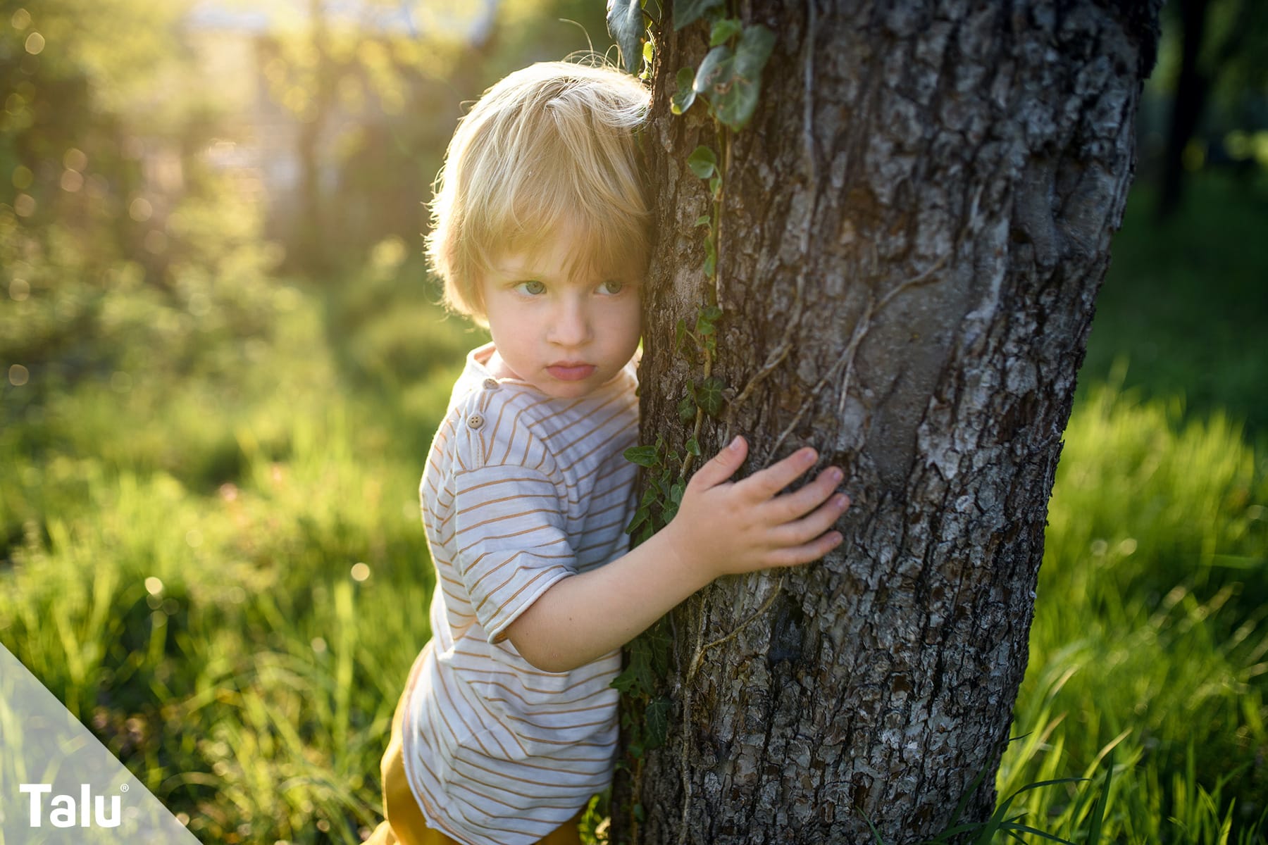 Junge mit Baum