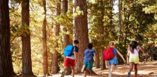Waldspiele für Kinder